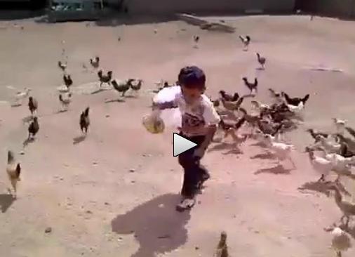 Aruncă punga! Copil îngrozit, fugărit de găini înfometate (VIDEO)