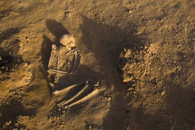 Un schelet uman vechi de 20 de ani a fost găsit sub podeaua sediului Poliţiei Locale Sector 4