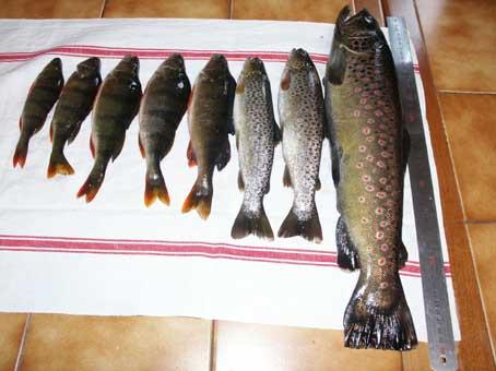 Bucătăria lumii. Poveşti pescăreşti 18456770