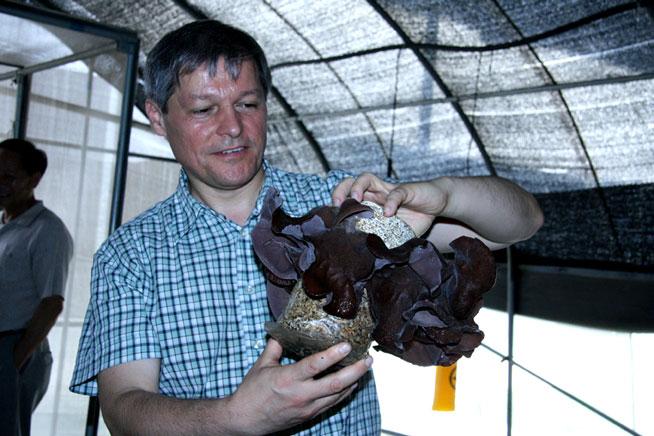 Specialistul chinez in cultivarea ciupercilor, care a lucrat la Mogoşoaia
