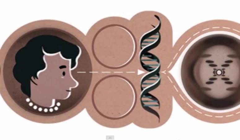 Cercetătoarea ROSALIND FRANKLIN, care a contribuit la descoperirea ADN-ului, sărbătorită de GOOGLE printr-un logo special (VIDEO)