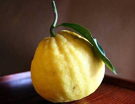 Esenţe tari. Parfum de bergamotă 18458642