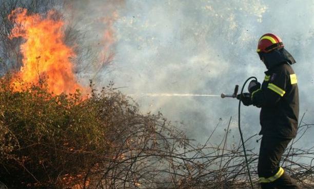 Incendiu de pădure VIOLENT în apropierea sitului arheologic Phaistos din Creta
