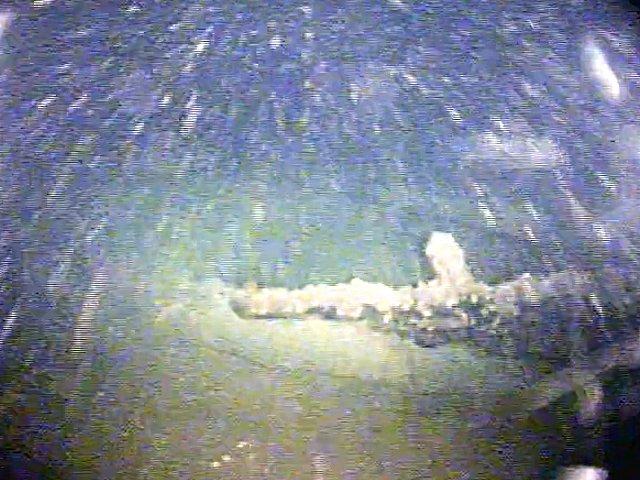 DESCOPERIRE ISTORICĂ: Ce au găsit exploratorii pe fundul lacului Ontario, la o adâncime de peste 300 de metri (VIDEO)