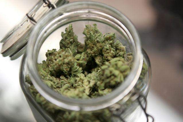Uruguay ar putea fi primul stat în care cultivarea, vânzarea şi consumul de marijuana devin legale