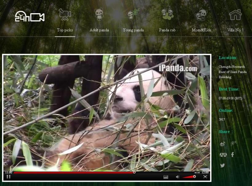 China a lansat canalul online “Panda TV”