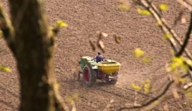 Romanii se bat pe joburile din agricultura: 7 pe un loc de munca in strainatate