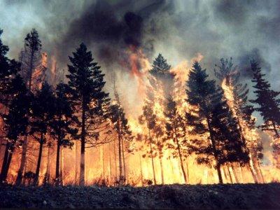 Incendiu de pădure în Munţii Pietrosul Rodnei. 400 de oameni se luptă cu focul