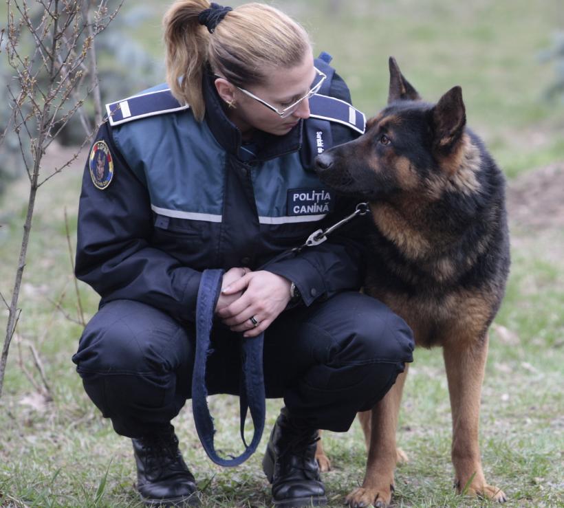 Câinii poliţişti din Republica Moldova vor răspunde numai comenzilor în limba română