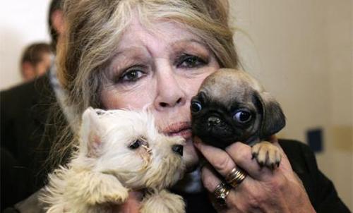 Brigitte Bardot, MESAJ către Traian Băsescu: Sunt şocată să aflu de răzbunarea care se va abate asupra câinilor