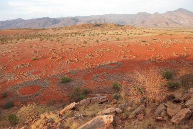 Fenomen INEXPLICABIL: &quot;Cercurile zânelor&quot;, MISTERUL din deşertul din Namibia. Ce spun cercetătorii (VIDEO)