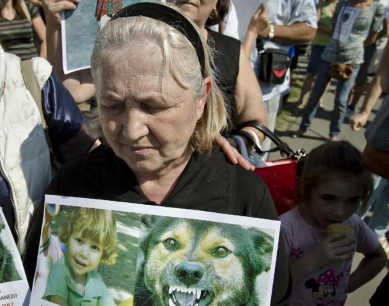 Bunica lui Ionuţ, băieţelul ucis de câinii maidanezi, este audiată de procurori