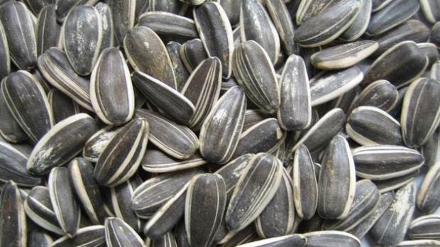 MIT sau ADEVĂR: Cojile de seminţe pot conduce la apendicită?