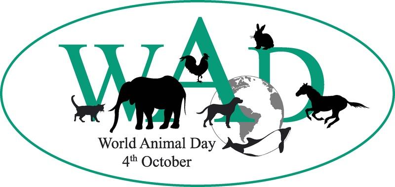Astăzi este Ziua Internaţională a Animalelor