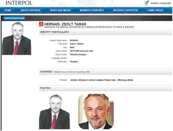 Ungariei i-a fost remis mandatul european de arestare pentru şeful MOL