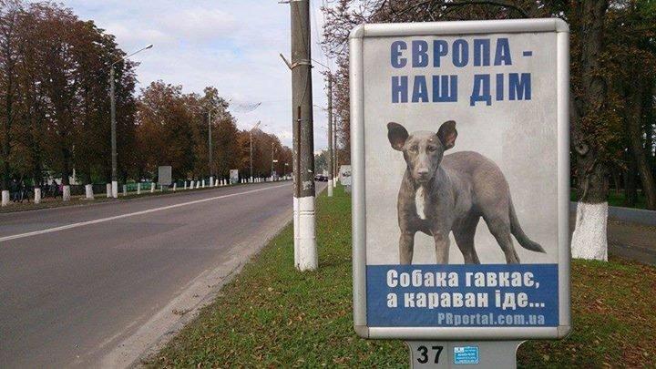Câinele &quot;Putin” a ajuns în reclamele din Ucraina