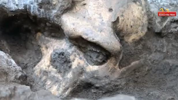 O nouă DESCOPERIRE aruncă în aer teoriile despre evoluţia umană! Elementul-cheie, un craniu vechi de 1,8 milioane de ani (VIDEO) 