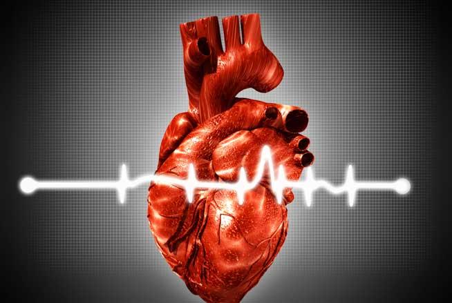 Nouă metodă de reparare a valvelor cardiace: fără deschiderea inimii şi întreruperea circulaţiei sângelui