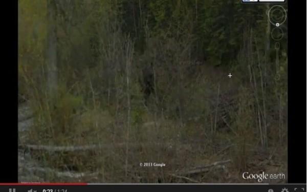 Apariție MISTERIOASĂ într-o pădure din Canada. Imaginea de pe Google Earth care i-a bulversat pe utilizatorii YouTube (VIDEO)