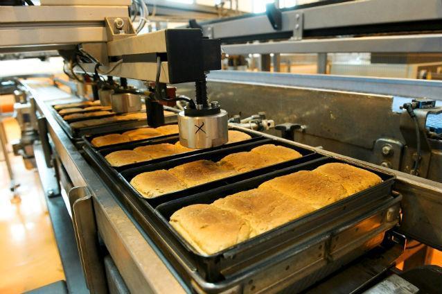 Rompan: Producţia fiscalizată a crescut cu peste 10% la făină şi cu 15% la pâine după reducerea TVA