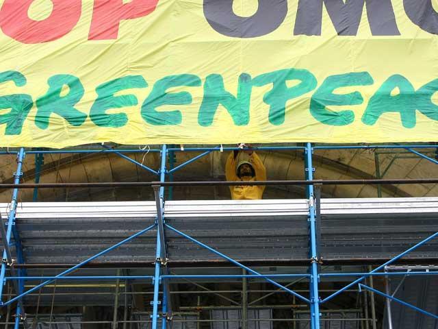 Protest Greenpeace la Arad pentru eliberarea activiştilor din Rusia