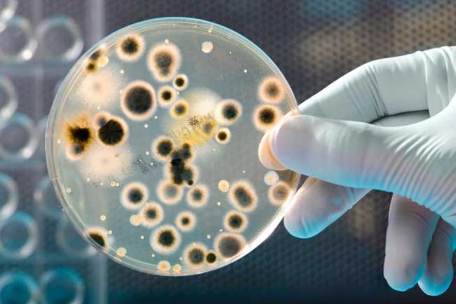 Studiu - Antibioticele de ultimă generaţie îşi pierd din eficienţă în lupta împotriva infecţiilor