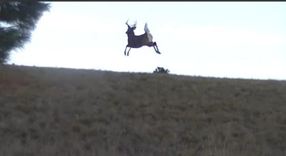 S-au dus la vânătoare însă au ajuns să facă un lucru incredibil (VIDEO)