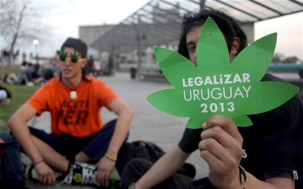 Canabisul legalizat în Uruguai, prima țară din lume care ia o asemenea decizie