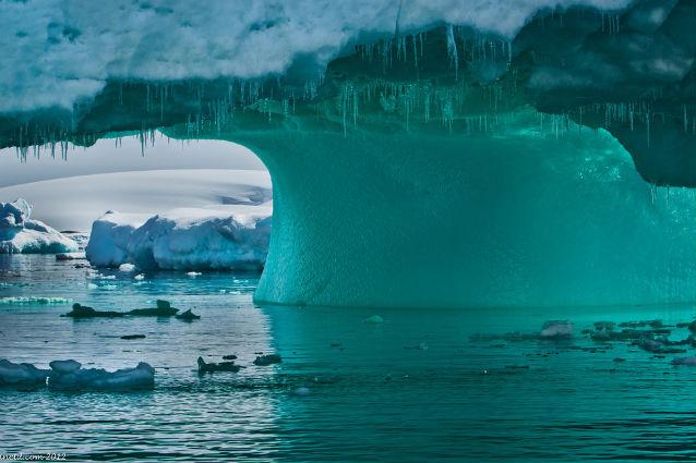 Lac îngropat sub calota glaciară din Antarctica, populat de organisme unicelulare