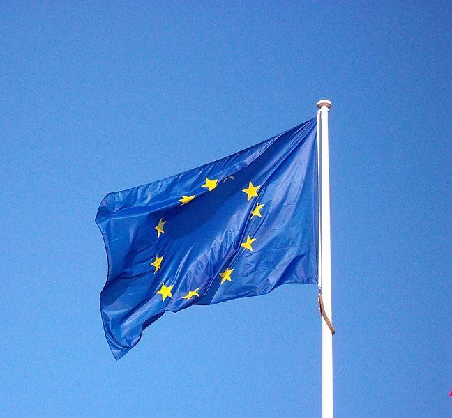 Noi directive şi regulamente europene se aplică de la 1 ianuarie 2014. Ce OBLIGAŢII vor avea statele UE