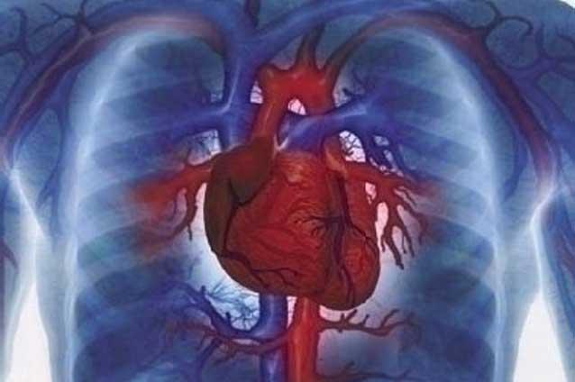 Riscul de insuficienţă cardiacă creşte cu peste 30% în cazul persoanelor care stau peste cinci ore în faţa unui calculator