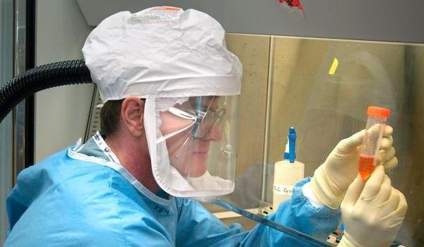  “Gripa porcină” provoacă stare de ALERTĂ în California