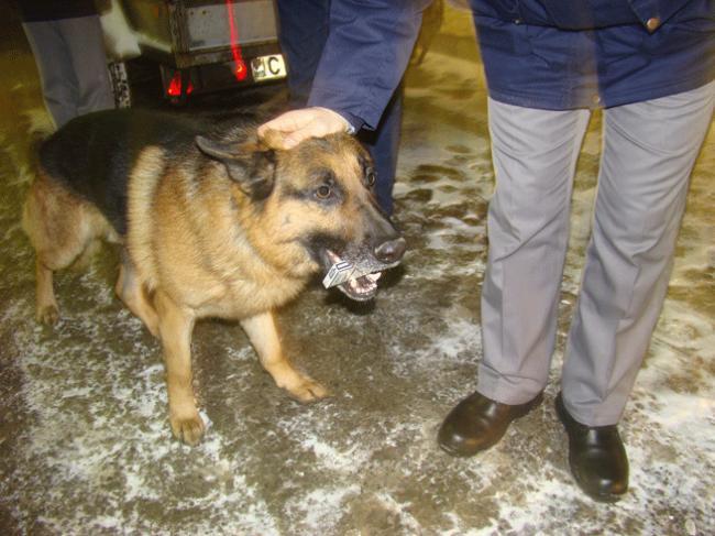 Suceava: Reţinuţi de poliţie după ce au fost depistaţi transportând ţigări de contrabandă de peste 180.000 lei
