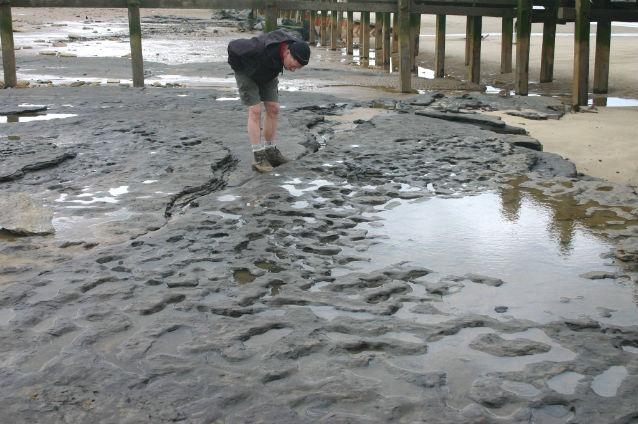 Primele urme de paşi de oameni din Europa, vechi de peste 850.000 de ani, descoperite pe ţărmul estic al Angliei