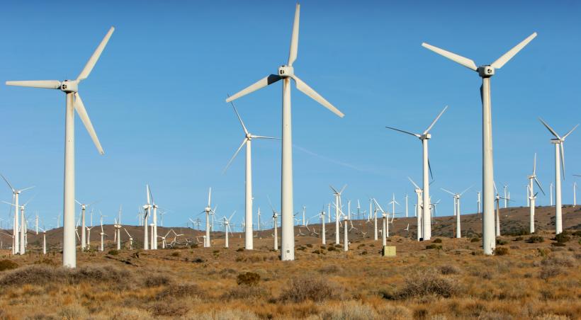 Transelectrica anunţă că centralele electrice eoliene din Dobrogea ar putea fi oprite, în urma unor componente furate de pe stâlpi