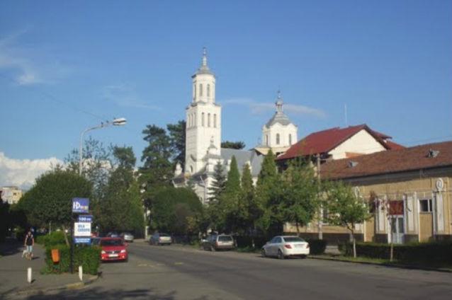Hunedoara: Ordinul Arhitecţilor protestează faţă de tăierea pinilor seculari din curtea Episcopiei Devei