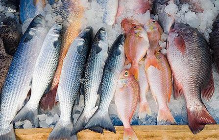Dieta cu pește, în ajutorul bolnavilor cronici, a canceroșilor, cardiacilor și obezilor