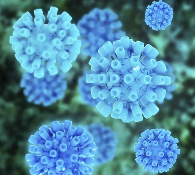 Virusurile hepatitice, multe şi neliniştite