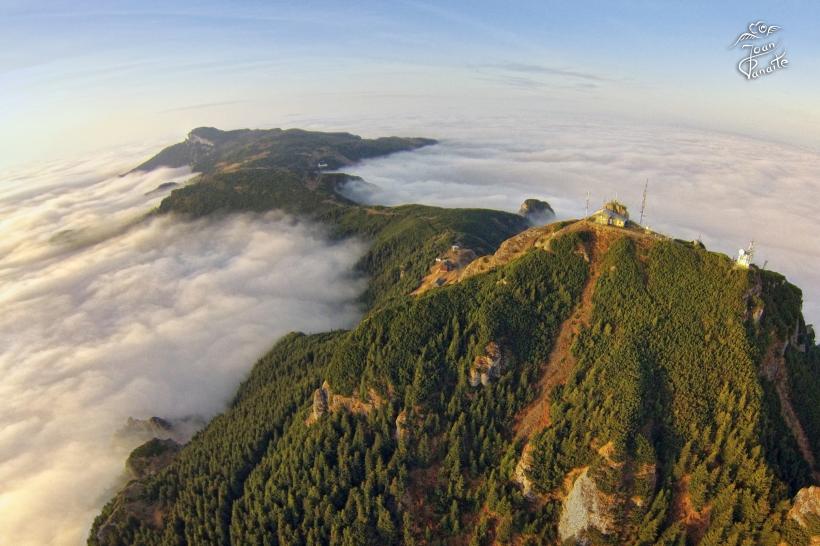 Fiul munţilor din Poiana Teiului  18479863