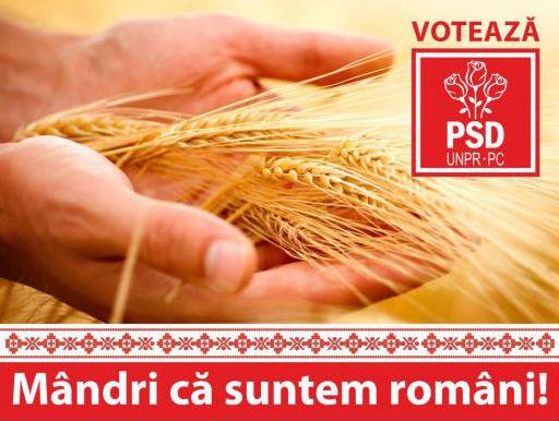 Alianţa PSD-UNPR-PC şi-a publicat conceptul de campanie electorală