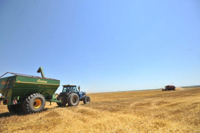 Nouă lege privind achiziţionarea de terenuri agricole în Ungaria