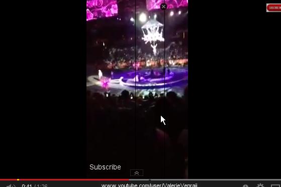 Nouă acrobaţi răniţi după prăbuşirea unei platforme într-un spectacol de circ (VIDEO)