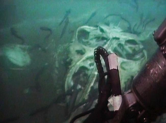 &quot;Este UNIC în lume!&quot;. Descoperire INCREDIBILĂ făcută de o sondă submarină, la mare adâncime, în largul coastei Angolei  (VIDEO)