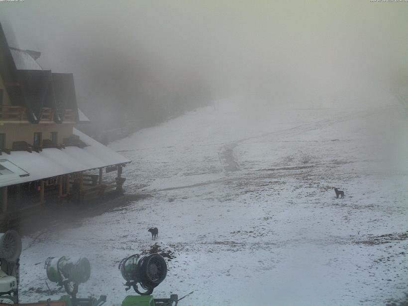 NINGE la Rânca! Stratul de zăpadă are cinci centimetri. Vezi IMAGINI LIVE pe webcam jurnalul.ro