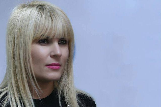 Elena Udrea, susţinută la şefia PMP de liderul organizaţiei judeţene Olt