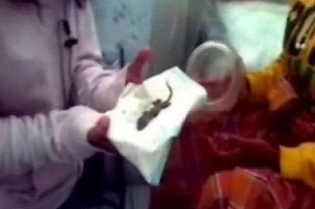 Echipă de experţi, trimisă să lămurească misterul indoneziencei care ar fi născut o şopârlă (VIDEO)