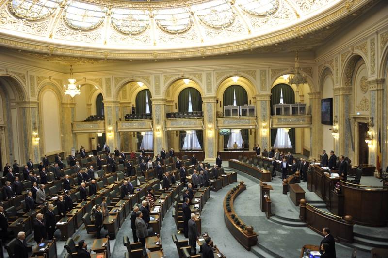 Raportul SPP a ajuns la Senat. Parlamentarii vor să ştie dacă Traian Băsescu a fost informat despre cazul Bercea