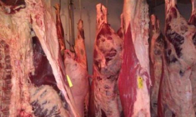 Rusia a INTERZIS importul de bovine şi carne de vită din România, invocând boala vacii nebune