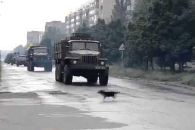 Armata ucraineană atacă periferia oraşului Doneţk. Separatiştii, hotărâţi să lupte