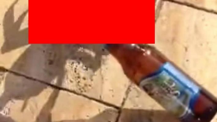 Crabul furăcios: A şutit o bere de pe plajă VIDEO